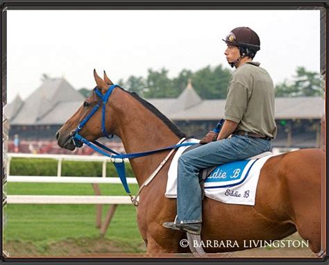 current thoroughbred racing news.